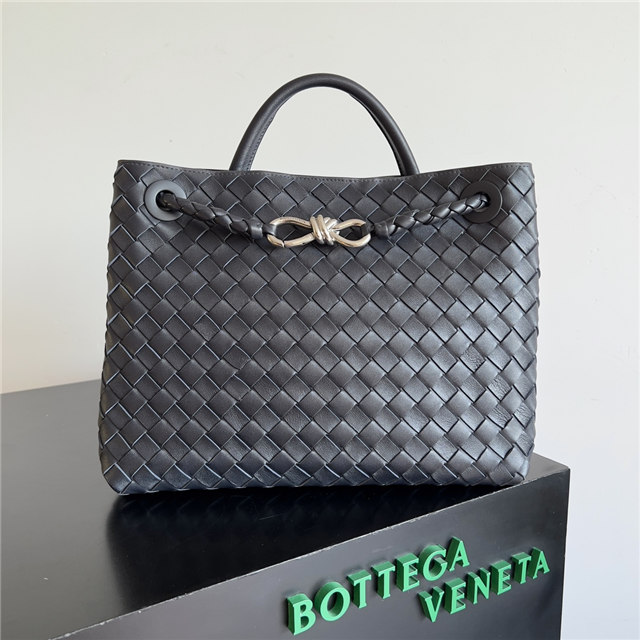 Bottega Veneta Medium Andiamo 766016 Space